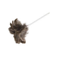 Feather Duster