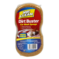 Dirt Buster Sponge