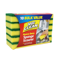 Sponge Scourer 10Pk