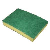 GALA SPONGE SCOURERS 150MM X 100 MM - GREEN (10X10=100)