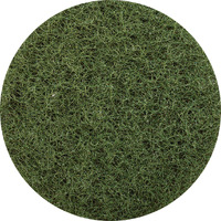 GLOMESH PAD REGULAR 200MM - GREEN